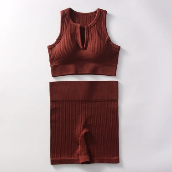 Women Yoga Fashion Solid Color Shorts Sports Two-Piece Set